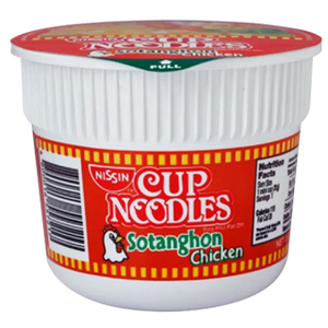 NISSIN NOODLES / CUP NOODLES