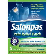 Load image into Gallery viewer, SALONPAS
