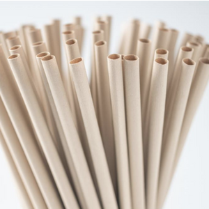 Paper Straw 100's